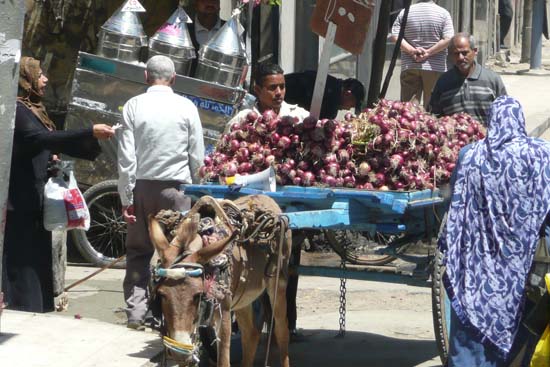 egypt_195