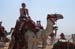 egypt_120